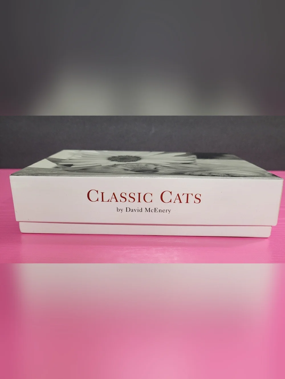 Vintage Classic Cats By David McEnery Set 19 Blank Cards And Envelopes (0766)